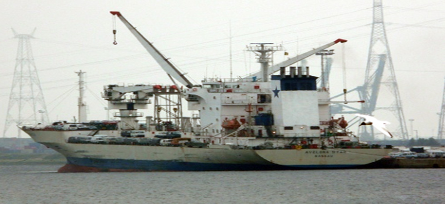 bluepac001.jpg